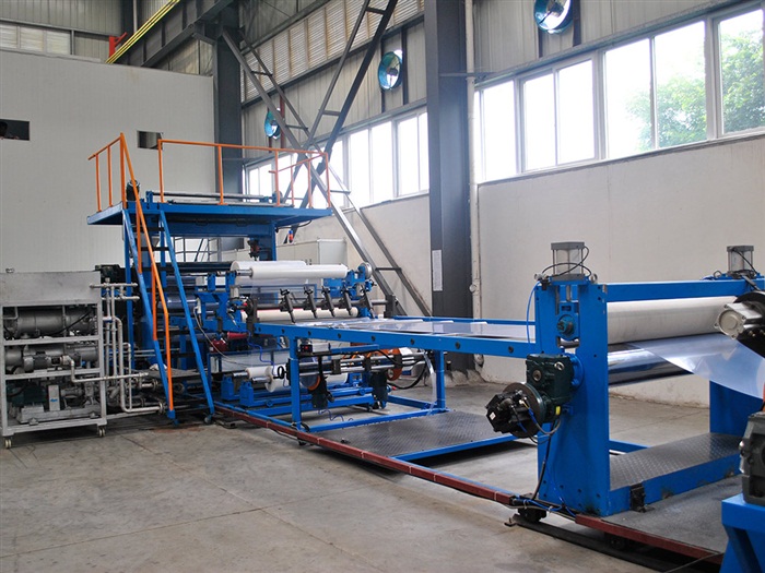 Maung plant